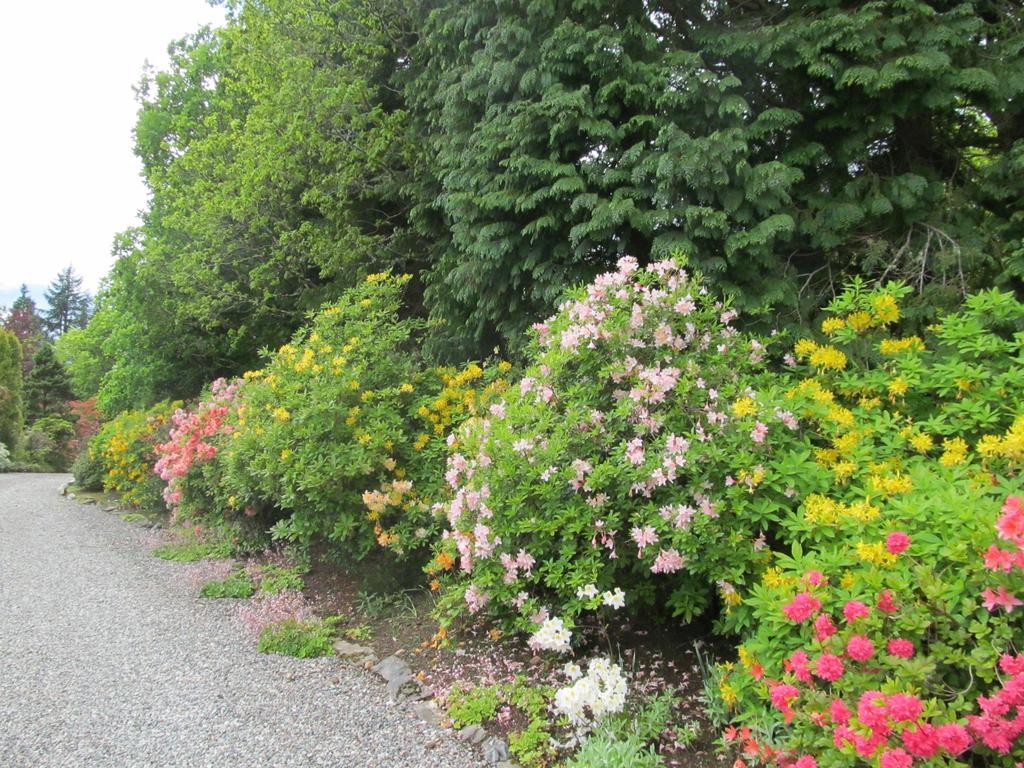 Torbeag House Bed & Breakfast Fort William Exterior photo